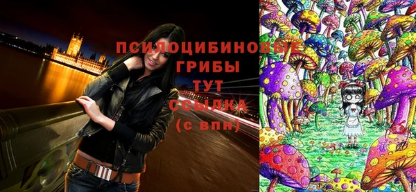 прущая мука Михайловск