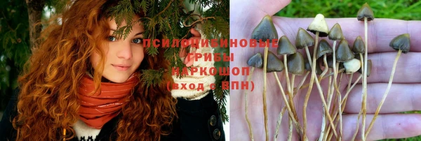 прущая мука Михайловск
