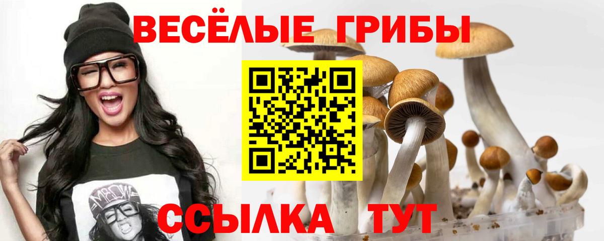Псилоцибиновые грибы Magic Shrooms  Вход с VPN  Туапсе 