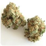 Шишки "White Widow"  (Белая вдова)  Гидропоника -  Бошка VHQ в Туапсе